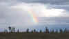rainbow.jpg (263142 bytes)
