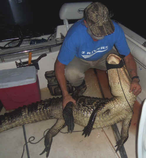 South Carolina Alligator Hunt September 13th